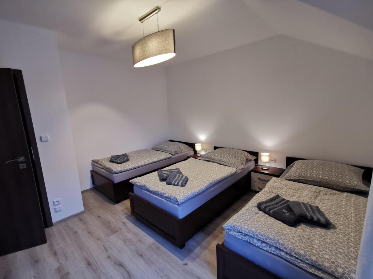 Apartman 5 Klinovec Διαμέρισμα Loučná pod Klínovcem Εξωτερικό φωτογραφία
