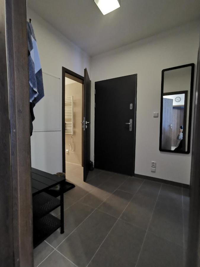 Apartman 5 Klinovec Διαμέρισμα Loučná pod Klínovcem Εξωτερικό φωτογραφία