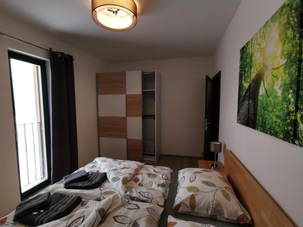 Apartman 5 Klinovec Διαμέρισμα Loučná pod Klínovcem Εξωτερικό φωτογραφία