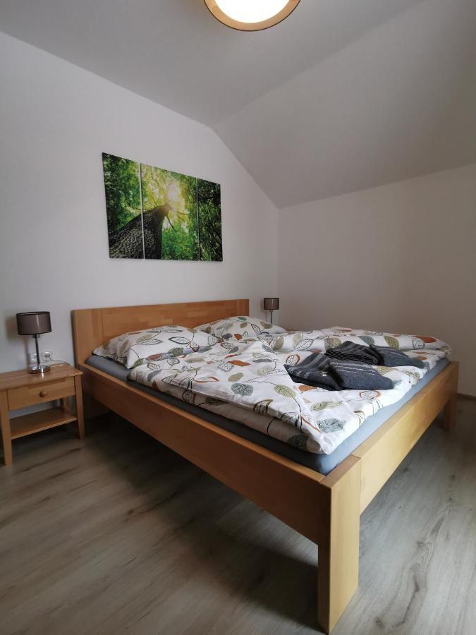 Apartman 5 Klinovec Διαμέρισμα Loučná pod Klínovcem Εξωτερικό φωτογραφία