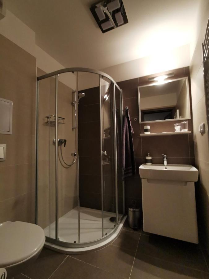 Apartman 5 Klinovec Διαμέρισμα Loučná pod Klínovcem Εξωτερικό φωτογραφία