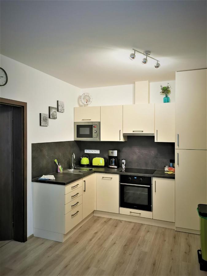 Apartman 5 Klinovec Διαμέρισμα Loučná pod Klínovcem Εξωτερικό φωτογραφία